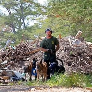 C A trainer with mold detection dogs in Oregon